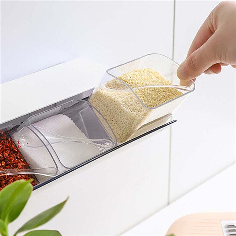 Kitchen Wall Mounted Dust Proof Spice Rack